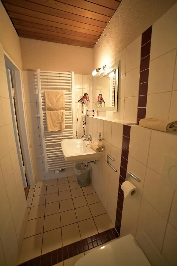 Hotel Zrenners Garni Waldsassen 3*,  Germany